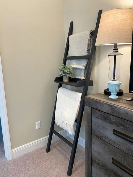 Blanket ladder