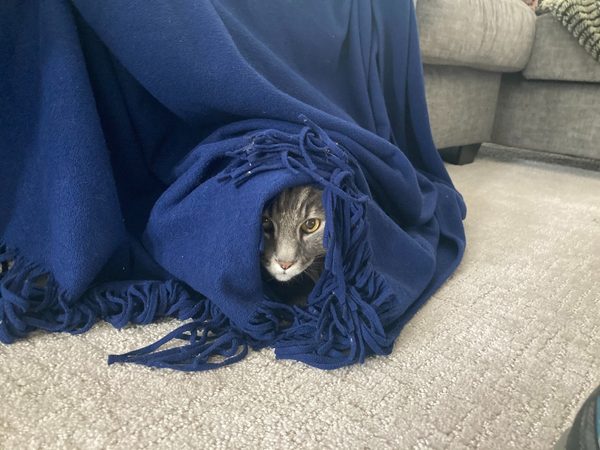 Hiding from work