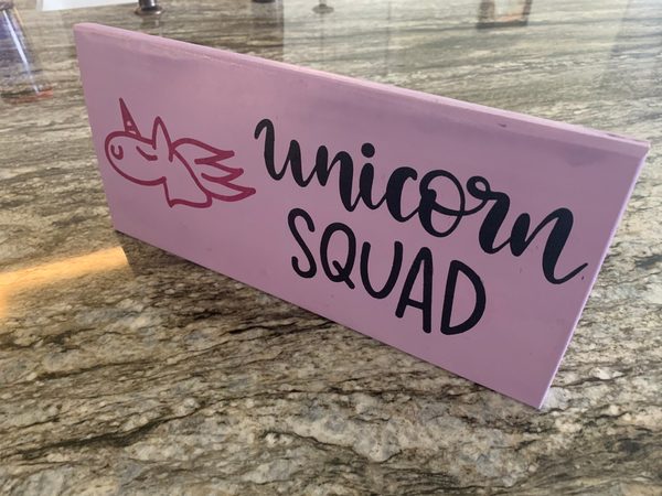 Unicorn lover